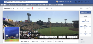 野球とネットとソーシャルメディア Facebookページ