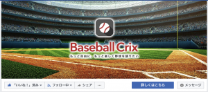 BaseballCrix